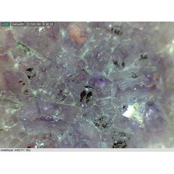 Microscop USB portabil Dino-Lite Basic